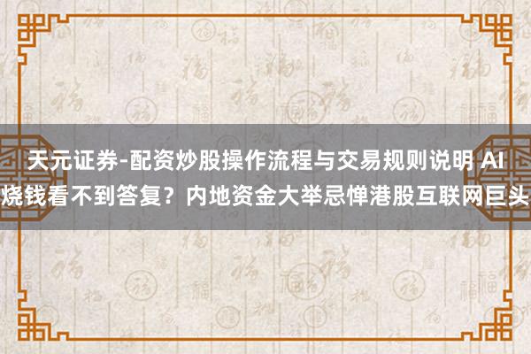 天元证券-配资炒股操作流程与交易规则说明 AI烧钱看不到答复？内地资金大举忌惮港股互联网巨头
