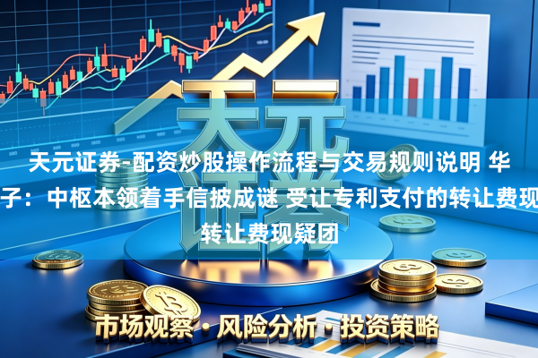 天元证券-配资炒股操作流程与交易规则说明 华宇电子：中枢本领着手信披成谜 受让专利支付的转让费现疑团