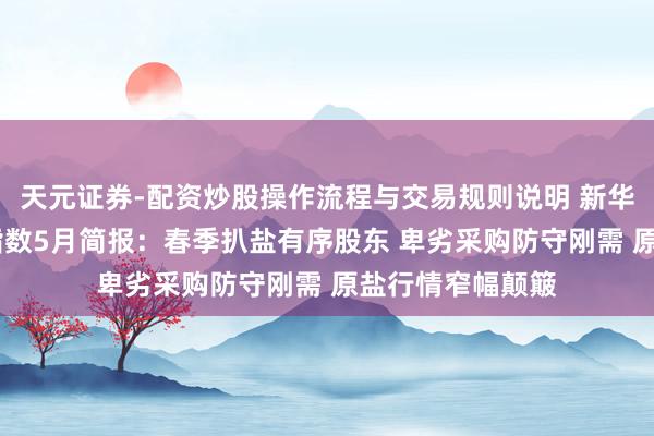 天元证券-配资炒股操作流程与交易规则说明 新华·中盐系列价钱指数5月简报：春季扒盐有序股东 卑劣采购防守刚需 原盐行情窄幅颠簸