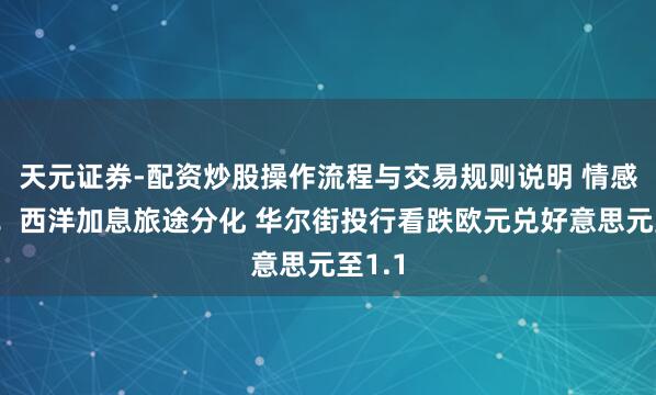 天元证券-配资炒股操作流程与交易规则说明 情感逆转！西洋加息旅途分化 华尔街投行看跌欧元兑好意思元至1.1
