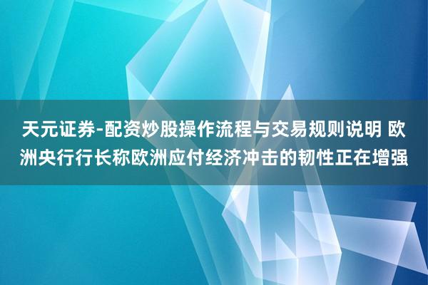 天元证券-配资炒股操作流程与交易规则说明 欧洲央行行长称欧洲应付经济冲击的韧性正在增强